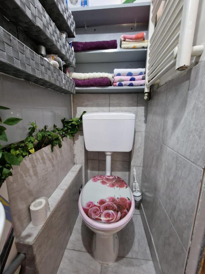 Apartament Ultracentral 2 Piata Muzeului Kolozsvár Kültér fotó
