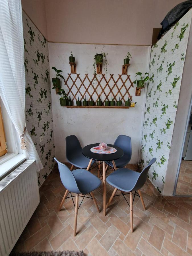 Apartament Ultracentral 2 Piata Muzeului Kolozsvár Kültér fotó