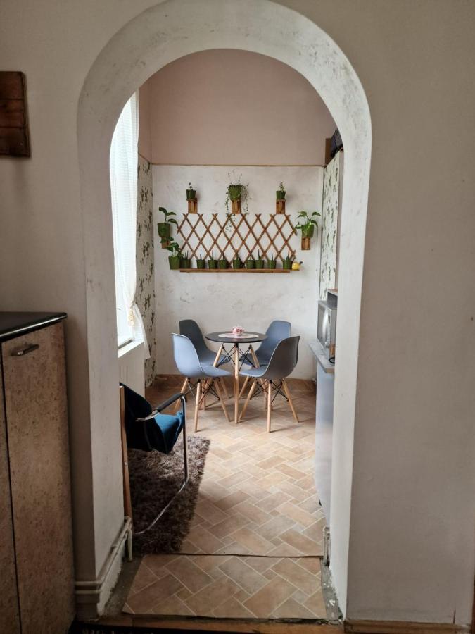 Apartament Ultracentral 2 Piata Muzeului Kolozsvár Kültér fotó