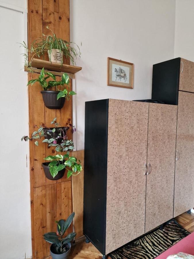 Apartament Ultracentral 2 Piata Muzeului Kolozsvár Kültér fotó